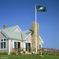 Thumbnail for Philadelphia Eagles flag by Atlantic Flag & Pole Inc., featuring vibrant team colors and NFL logo design.