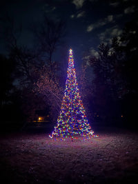 Thumbnail for Color-changing LED Christmas tree for flagpole, illuminated with vibrant lights, displayed in a nighttime setting.