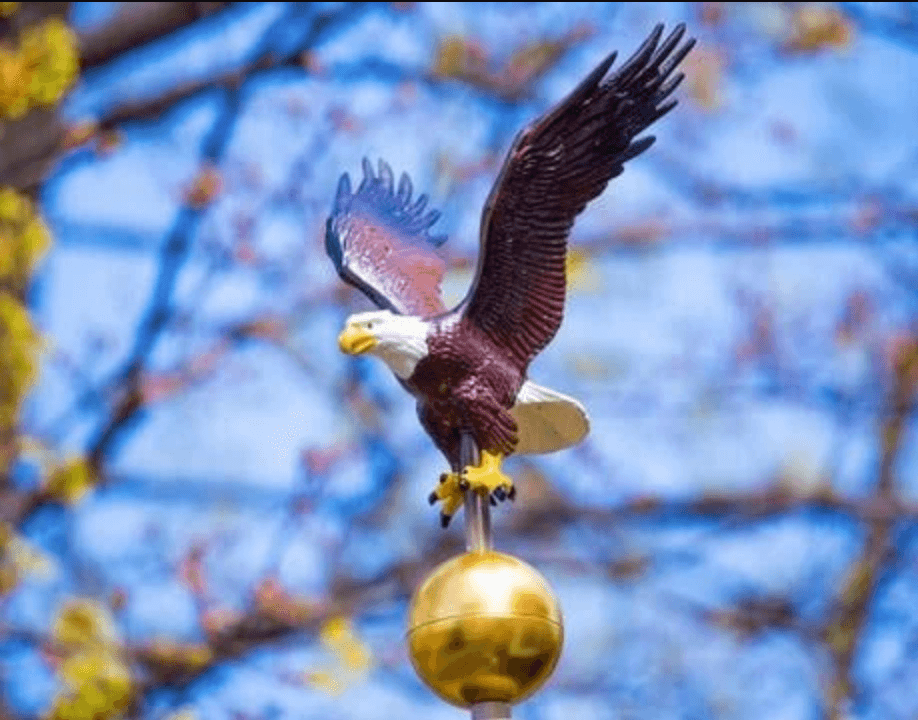Natural colored eagle flagpole topper