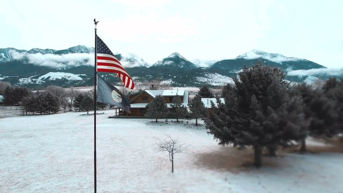 Why the Phoenix Telescoping Flagpole is the Best Choice for Proud Americans