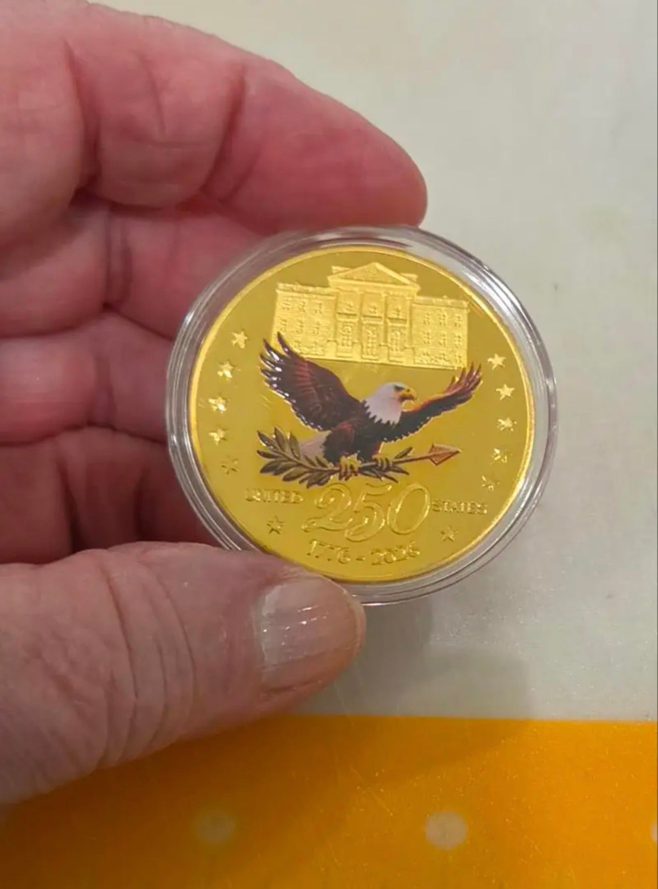 Close-up of the America 250 Challenge Coin reverse eagle design in a protective capsule, held in hand