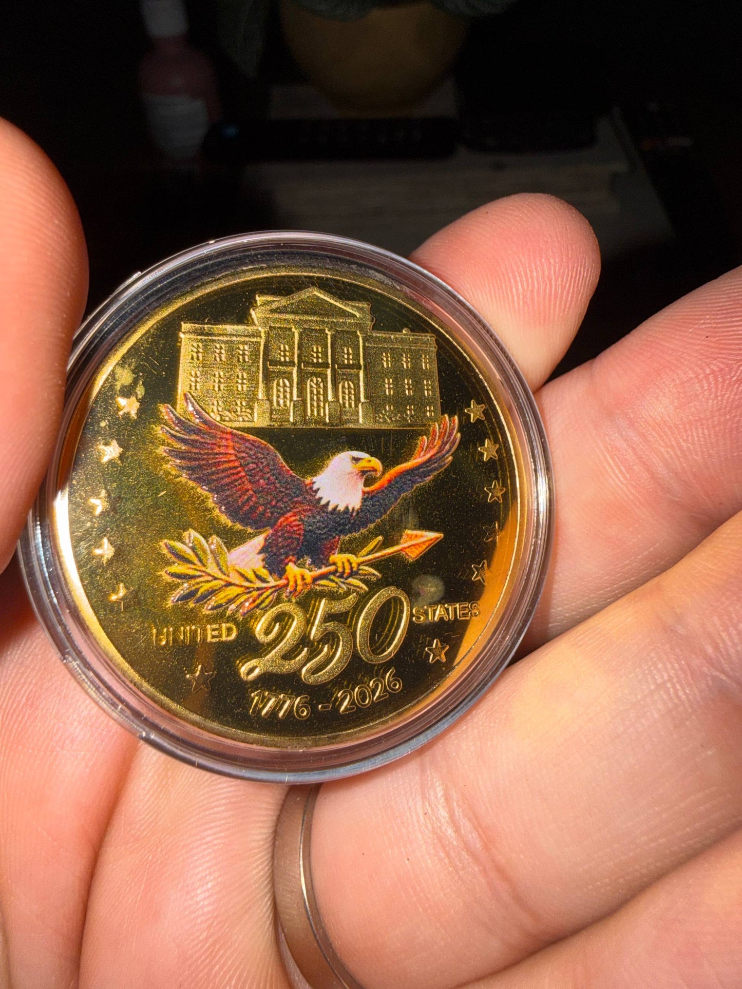 America 250 Challenge Coin reverse bald eagle design held in hand