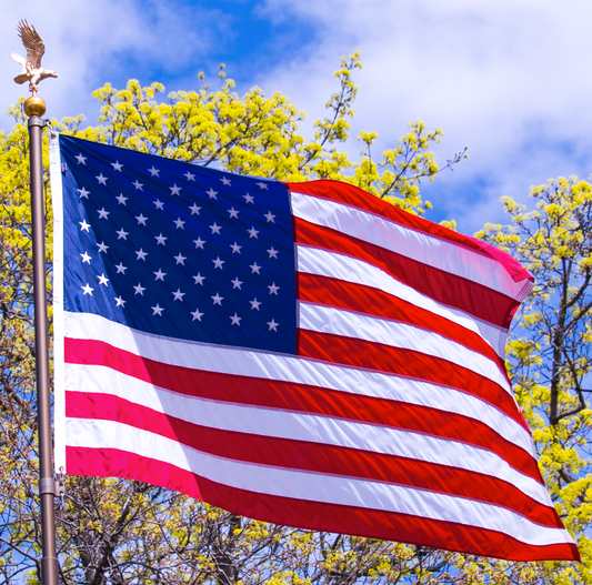 Nylon American flag in red, white, and blue, available in sizes 2'x3', 3'x5', and 4'x6' by Atlantic Flag & Pole Inc.