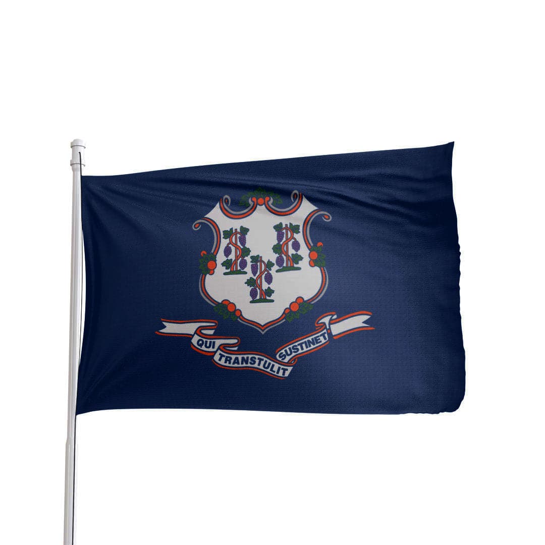 Connecticut State Flag 3x5 in durable nylon with brass grommets, azure blue with baroque shield design by Atlantic Flag & Po