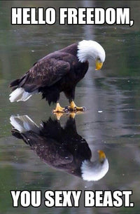 Thumbnail for Hand painted 12-inch natural eagle flagpole topper by Atlantic Flag & Pole Inc.
