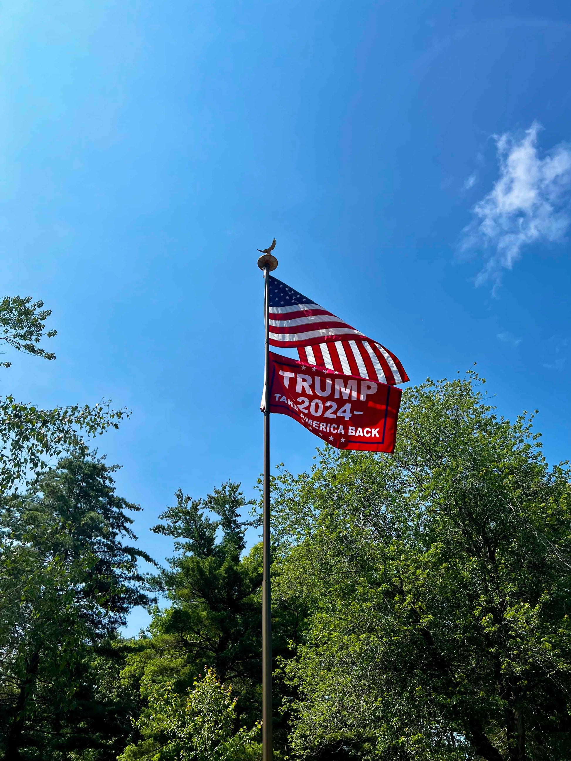 20-foot gold flagpole with an American flag and 'TRUMP 2024' banner against a blue sky