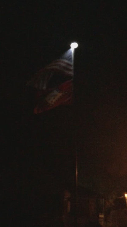 Telepatriot 400 Lumen Solar Flagpole Light - 48 LED Orbital System