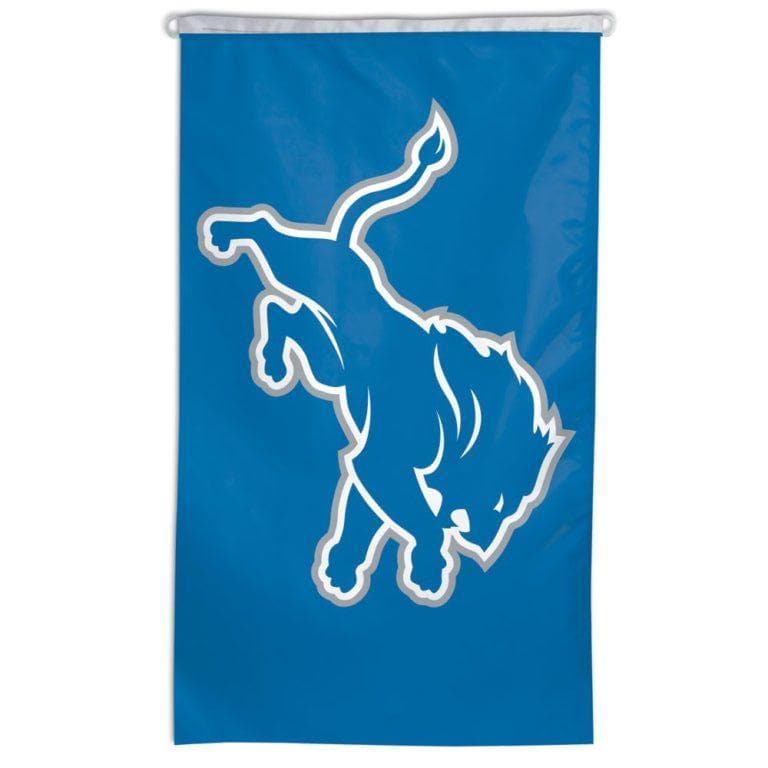 Detroit Lions NFL flag for sale