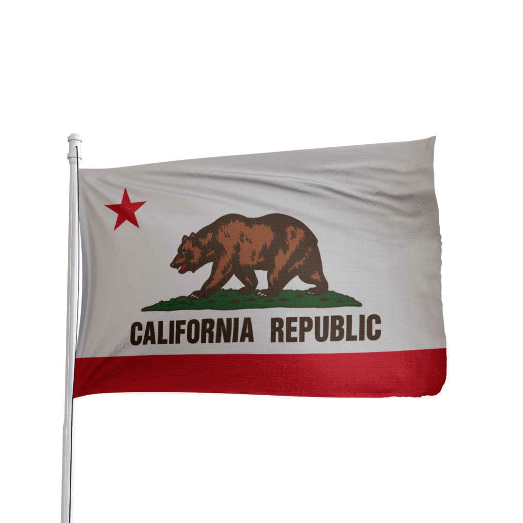 California State Flag Size 4x6