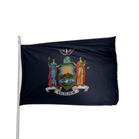 Thumbnail for New York State Flag